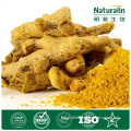 Turmeric Root Extract (10: 1, 95% Curcumin)